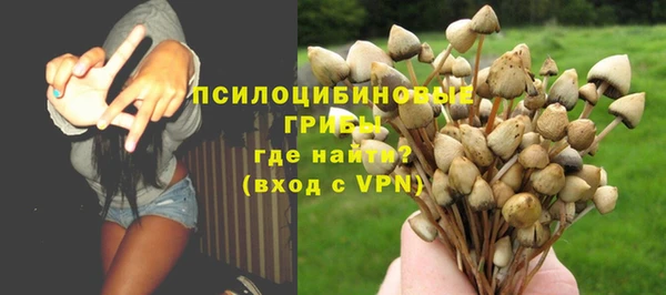 сатива Аркадак