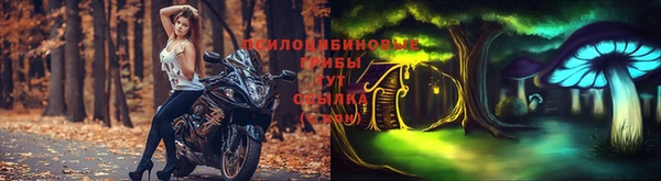 герыч Арсеньев