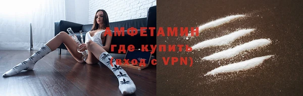 сатива Аркадак