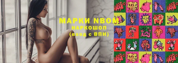 гидра Покровск