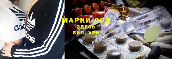 гидра Покровск