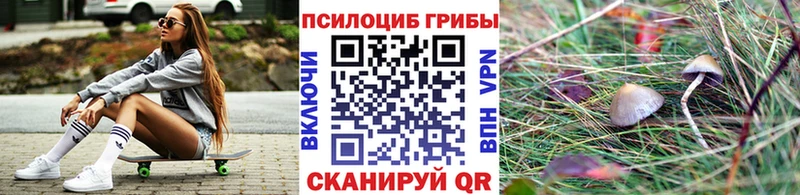 маркетплейс Telegram  Североморск  Галлюциногенные грибы MAGIC MUSHROOMS 